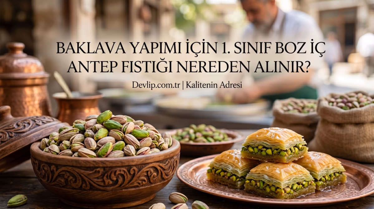 Baklava Yapımı İçin 1. Sınıf Boz İç Antep Fıstığı Nereden Alınır?